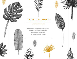 Vector contemporary greeting card with tropical graphics in vintage style. Hand drawn exotic plant template for birthday, business, anniversary, wedding, party invitation, holidays.