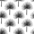 Vector seamless hand drawn pattern with fan palm in vintage graphic style. Tropical decoration pattern for paper, textile, handmade, wrapping decoration, scrap-booking, polygraphy, t-shirt, cards.