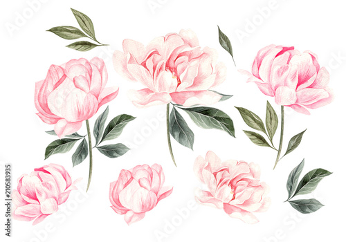 Photo  Beautiful Watercolor set with peony flowers.