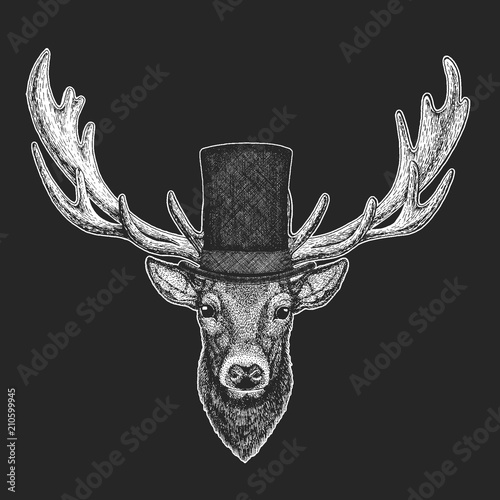 Foto-Gardine - Deer Top hat, cylinder. Hipster animal, gentleman. Classic headdress. Print for children t-shirt, kids clothing. (von helen_f)