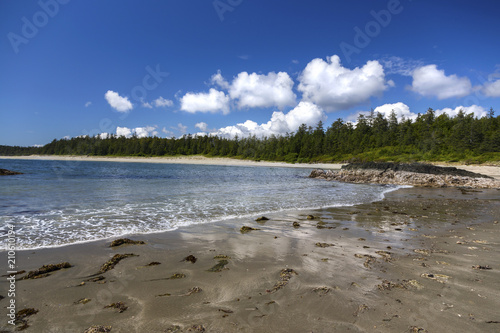 Pacific Rim National Park Reserve Scenic Landscape Waterfront On