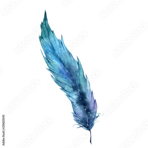Nowoczesny obraz na płótnie Niebieskie ptasie pióro