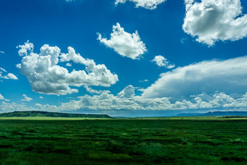 Partly Cloudy Skies over a Green Meadow