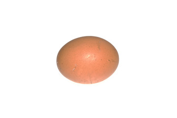 egg isolated on white background