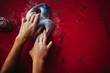 Close up of female climbers hands on red wall during bouldering. Workout in climbing gym, closeup shot