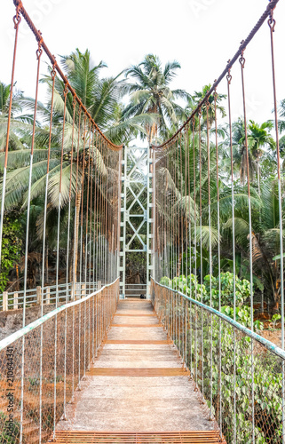 Plakat most linowy  palmy-przy-linowym-moscie