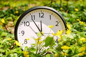 Clock on green grass, on nature background, deadline alarm concept