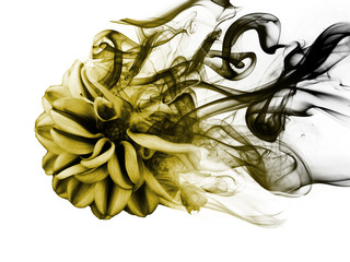 Wall Mural - a flower of smoke