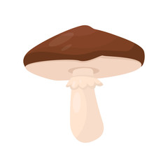 Wall Mural - flat vector icon of suillus luteus. mushroom with brown cap and beige stalk. cooking ingredient. for