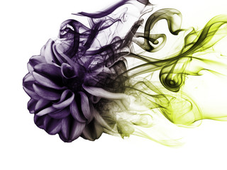 Wall Mural - a flower of smoke