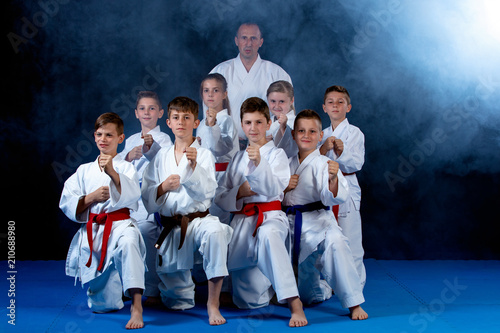 Plakaty Karate  mlode-piekne-odnoszace-sukcesy-wieloetyczne-dzieci-karate-w-pozycji-karate