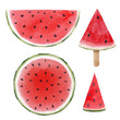 Watercolor watermelon set