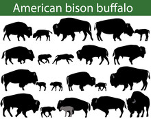 Collection Of Silhouettes Of American Bison, Or Buffalo