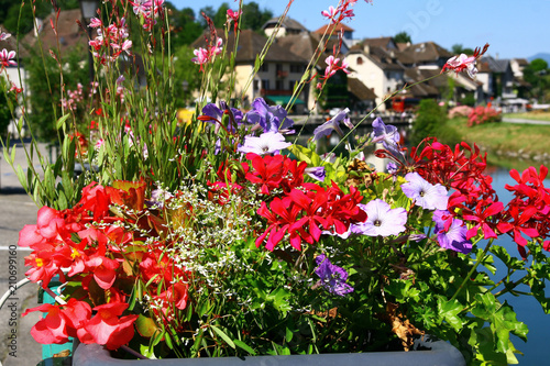 Jardiniere Fleurie Photo Stock Adobe Stock
