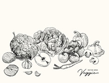 Set Of Veggetables And Fruit, Hand Draw Sketch Vector.