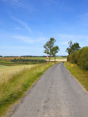 Wall Mural - hilltop country road