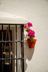 Wall Mural - Traditional Andalusian facade