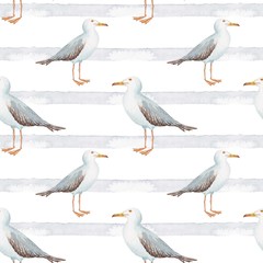 seamless pattern watercolor in marine style bird gull on white background