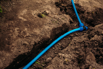 Watering hose laid in the ground