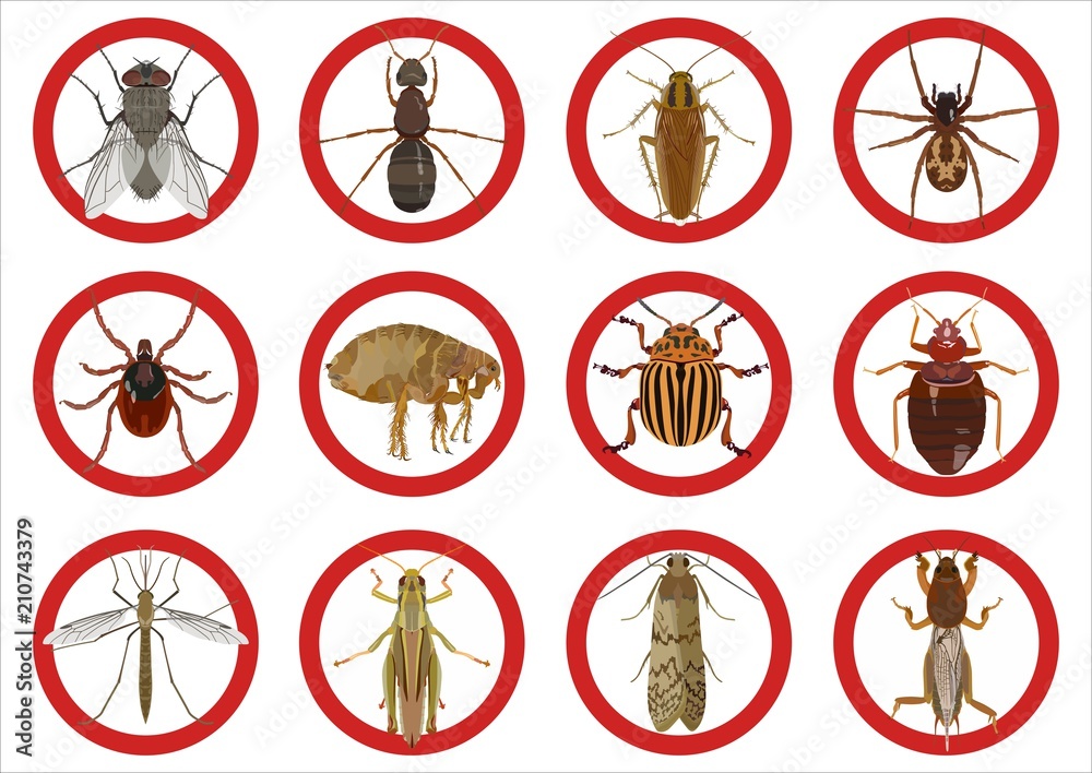 Bug Warning Collection of warning signs about harmful insects. Vector illustration ...