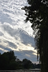Wall Mural - summer sky - early evning