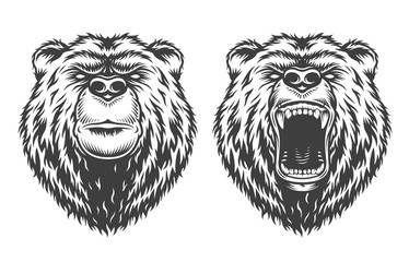 vintage logo style bear