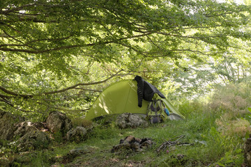 Wall Mural - Tent With Basic Gear In Woods Of Nebrodi Park, Sicily