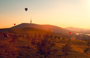 Wall Mural - Hot air balloons launching over Canberra