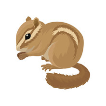 Flat Vector Icon Of Small Brown Chipmunk. Small Mammal Animal. Rodent With Cheek Pouches And Light And Dark Stripes Running Down The Body