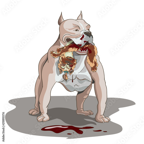 yorkshire terrier pitbull