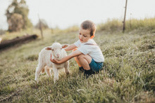 Little Boy Playing With A Lamb In A Field 