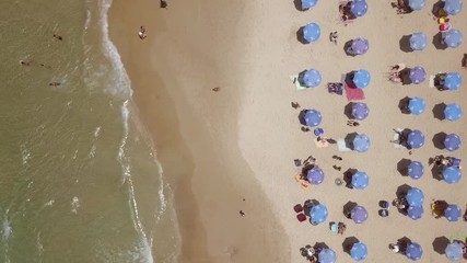 Wall Mural - Tropical beach with colorful umbrellas - Top down aerial view