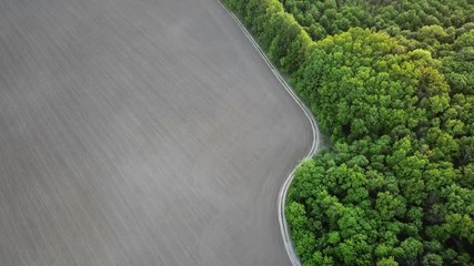 Poster - Aerial panoramic video from the drone to the forest with green spaces and agricultural field with the road dividing them at sunset in the summer evening, 4K resolution video.