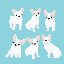 Vector Illustrations Set Of Cute Little French Bulldog In Different Positions. Funny Happy Puppy. French Bulldog Puppy Collection In Cartoon Flat Style On Blue Background.