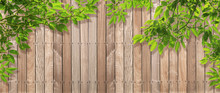 Fence Wood Texture with green leaves in foreground