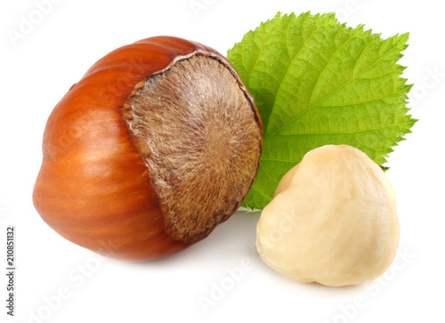 Fotomural hazelnuts with leaves isolated on white background. macro