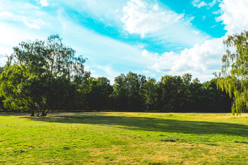 beautiful green park without any people at berlin, mitte