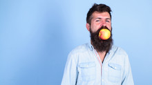 Man Handsome Hipster With Long Beard Eating Apple. Man Diet Nutrition Eats Fruit. Fruit Healthy Snack Always Good Idea. Healthy Nutrition Concept. Hipster Hungry Bites Juicy Ripe Apple. I Love Apples