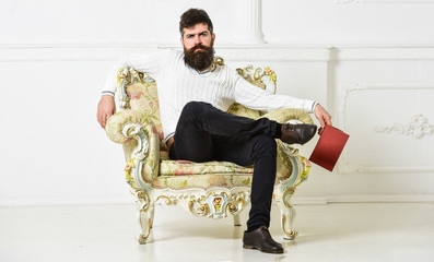 Leinwandbilder - Man with beard and mustache sits on armchair and reading, white wall background. Connoisseur, professor enjoy literature. Connoisseur of literature concept. Macho spends leisure with book.