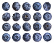 Big set of fresh blueberry with water drops isolated on white background.