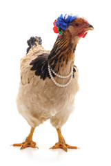 Sticker - Chicken in a necklace.