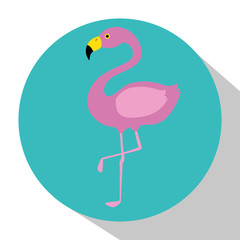 Canvas Print - exotic flamingo bird icon vector illustration design