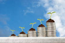 Business Concept With Stacks Of Coins With Growing Plants Against Blue Sky Background