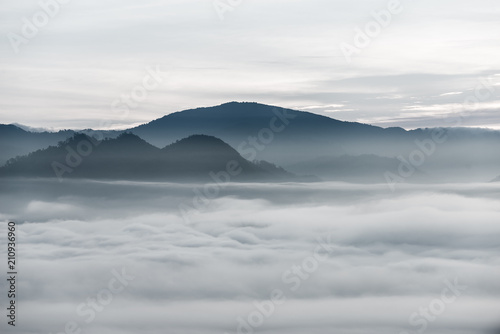 mgla-nad-lasem-w-minimalistycznej-fotografii