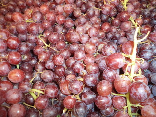 Wall Mural - mature red grapes