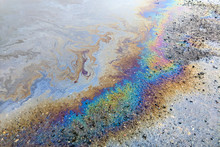 Rainbow Colors From An Oily Sheen On Water