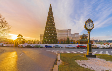 Wall Mural - Christmas tree in front of Parliament building house,  Bucharest, Romania