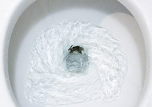Selective Focus Close Up Flushing Toilet Bowl For Sanitary, Toilet, Flushing Water, Close Up, Water Flushing In Toilet, A Photo Of A White Ceramic Toilet Bowl In The Process Of Washing It Off. Ceramic