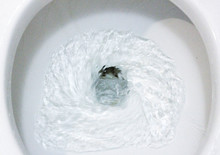 selective focus close up flushing toilet bowl for sanitary, Toilet, Flushing Water, close up, water flushing in toilet, A photo of a white ceramic toilet bowl in the process of washing it off. Ceramic