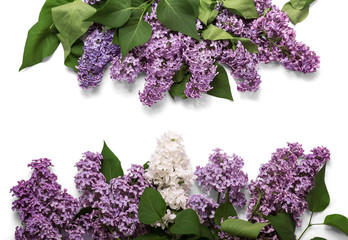  Flower arrangement of blue and white lilac with leaves, isolated on white